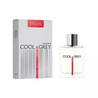 Dilis Parfum Cool and Grey Sport туалетная вода 100 мл для мужчин