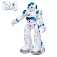 Классические роботы ZHORYA Робот «Робо-друг», с дистанционным и сенсорным управлением, русский чип, цвет синий
