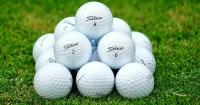 Мячи для гольфа TITLEIST Pro V1, белые, 40 штук (TITLEIST Pro V1 Mint Condition Refinished Golf Balls, Pack of 40 (White))