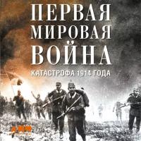 Макс Хейстингс "Первая мировая война: Катастрофа 1914 года (аудиокнига)"