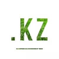 Регистрация домена в зоне .KZ