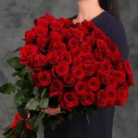 51 красная Эквадорская роза 90см
