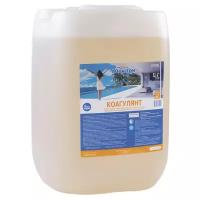 Коагулянт Aqualeon, средство против мутности воды, канистра 25 кг