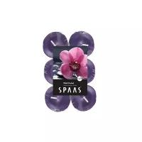 Набор свечей Spaas Wild Orchid фиолетовый 12 шт
