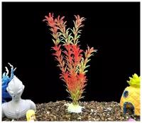 Растения для аквариумов и террариумов 40 см