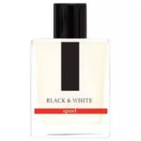 Dilis Parfum Black&White
