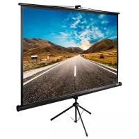Экран Cactus 160x160см TriExpert CS-PSTE-160x160-BK 1:1 напольный рулонный черный