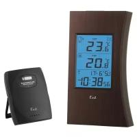 Термометр Ea2 ED601