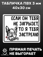 Табличка информационная Осторожно, злая собака! 40х30 см