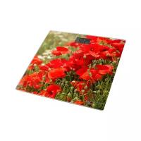 Весы Home Element HE-SC906 Red Poppies