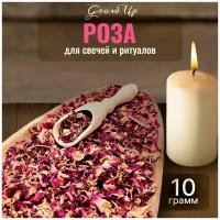 Сухая трава Роза (лепестки) для свечей и ритуалов, 10 гр