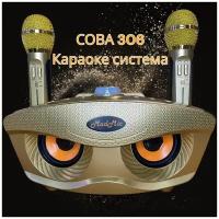 Портативная караоке система "Сова"306 с двумя радиомикрофонами (золотая)