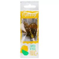 Ямми карамель с витамином С Мята-Лимон 17г