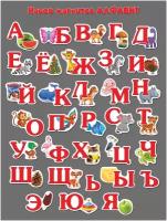 Набор детские развивающие магниты "алфавит азбука"