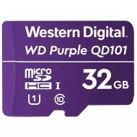 Карта памяти Western Digital WDD032G1P0C
