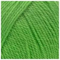 Пряжа для вязания КАМТ Аргентинская шерсть (100% импортная п/т шерсть) 10х100г/200м цв.045 зеленое яблоко
