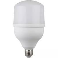 Лампа светодиодная ЭРА, LED smd POWER 40W-4000-E27 E27, T120, 40Вт, 4000К