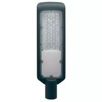 Duwi Светильник уличный 25078 4 светодиодный, 50 Вт, цвет арматуры: серый