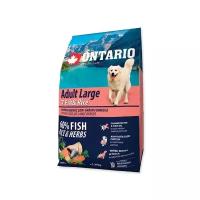 Корм для собак Ontario Adult Large 7 Fish & Rice