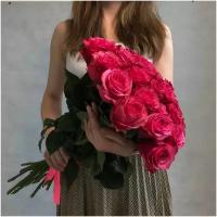 Букет из 25 ярко розовых роз сорта ЛОЛА 60см (ЭКВАДОР) с атласной лентой.