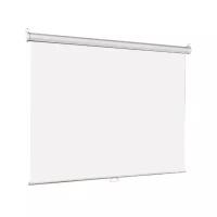 Рулонный матовый белый экран Lumien Eco Picture LEP-100109
