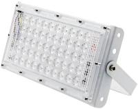 Прожектор светодиодный Glanzen FAD-0030-50, 50 Вт, свет: холодный белый