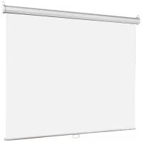 Рулонный матовый белый экран Lumien Eco Picture LEP-100113