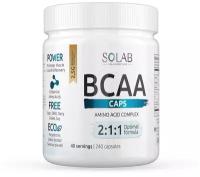 Аминокислоты BCAA 2:1:1 в капсулах, БЦАА без добавок, 40 порций / спортивное питание / спортпит