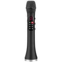 Профессиональный караоке-микрофон L-1038DSP 25W, черный