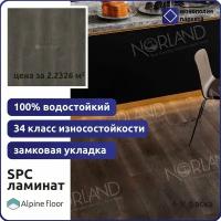 Кварцвиниловая плитка SPC ламинат Alpine floor Norland SIGRID 1001-7 Baggy 1220 х 183 х 3,5 мм 34 класс
