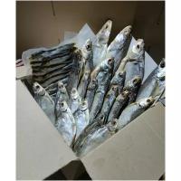 Рыбное ассорти вяленая Астраханская рыба 3.5кг 7 видов