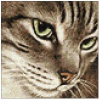 Гранни Алмазная мозаика Загадочный кот (Ag 2277) 20х20 см