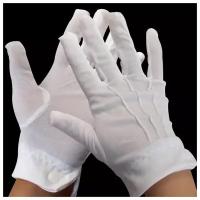 Перчатки хлопковые с застежкой для официантов, парадные, офицерские, унисекс, размер универсальный, TM Cottonia,1 пара