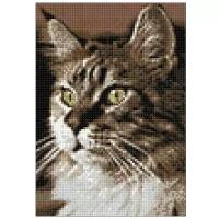 Гранни Алмазная мозаика Домашний кот (Ag 159) 19х27 см