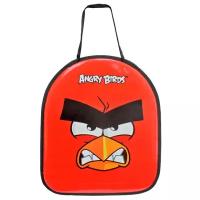 Ледянка 1 TOY Angry Birds (Т59205)