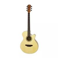 Акустическая гитара ARIA TG-1 N