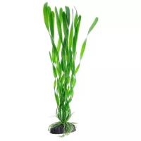 Пластиковое растение Barbus Валиснерия спиральная 30 см