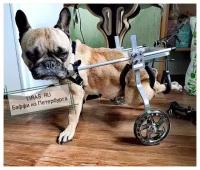 Инвалидная коляска для собак. Размер №8. Поддержка для собак на задние лапы.