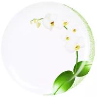 Luminarc Тарелка обеденная White Orchid 25 см