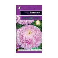 Семена. Астра Хризантелла "Розовый восторг" (10 пакетов по 0,05 г) (количество товаров в комплекте: 10)