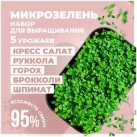 Набор для выращивания микрозелени "Нано Грядки" - 5 урожаев №5 Шпинат Брокколи Руккола Горох Кресс салат
