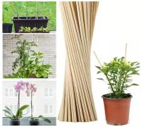 Опора для растений и рассады из шлифованного бамбука 40см 50шт, диаметр 4мм