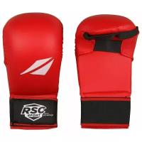 Тренировочные перчатки RSC sport BF BX 1101 для карате