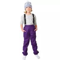 Детские брюки демисезонные 6238 размер 116 цвет серый