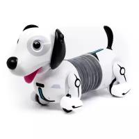 Интерактивная игрушка робот Silverlit YCOO n'Friends Собака Дэкел