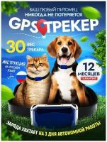 GPS трекер для собак и кошек