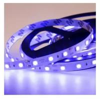 Светодиодная LED лента LAMPER синий свет, 5 м, IP23, 12 В, SMD 5050