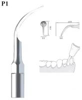 Насадка P1(PD1/PS1) для скалера ультразвукового стоматологического, для снятия зубных отложений ( подходит к Woodpecker, EMS, VRN ). 1 шт