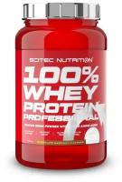 Протеин Scitec Nutrition 100% Whey Protein Professional 920 гр., шоколад-орех