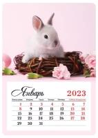Календарь магнитный отрывной на 2023 год Mono - Кролик